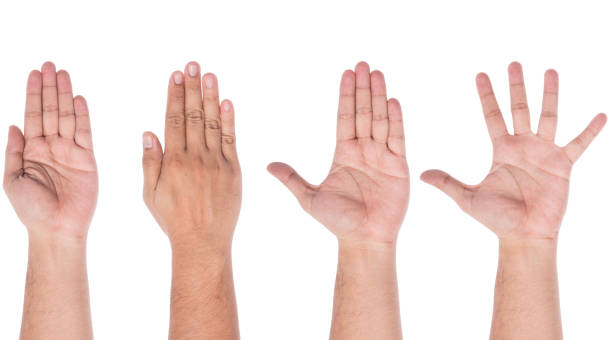 istock Male hand showing five fingers 942835760
