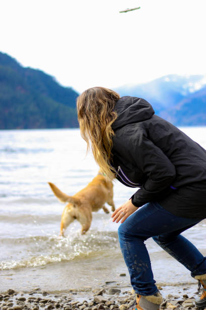 istock Young Woman Throwing Stick at the Lake 942836404