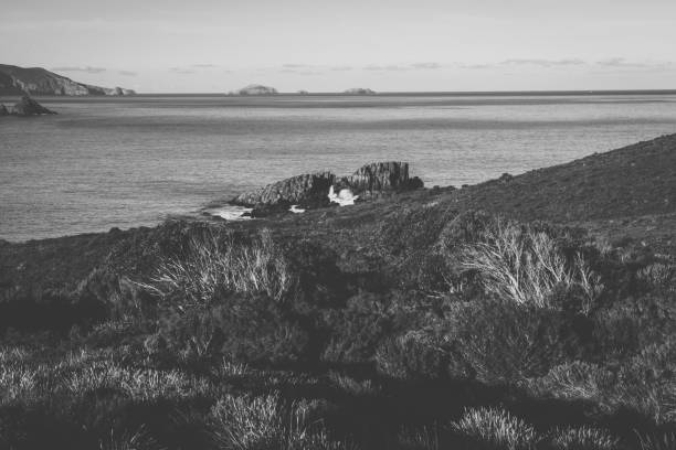 istock View of Bruny Island beach during the day. 942836454