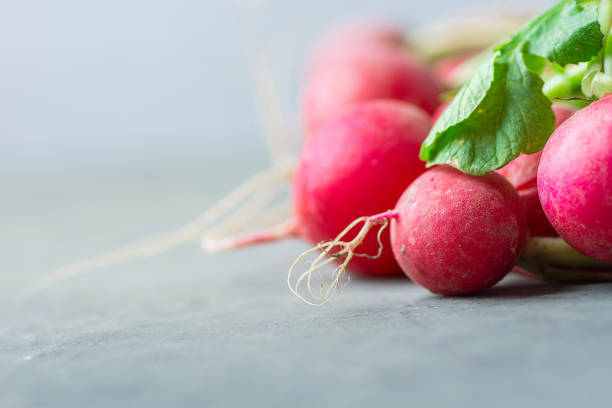 pakiet świeżych, dojrzałych rzodkiewek z zielonymi liśćmi na ciemnoszarym tle kamienia. styl minimalistyczny. ogrodnictwo summer harvest zdrowy styl życia concept. kopiuj spację - picking up flash zdjęcia i obrazy z banku zdjęć