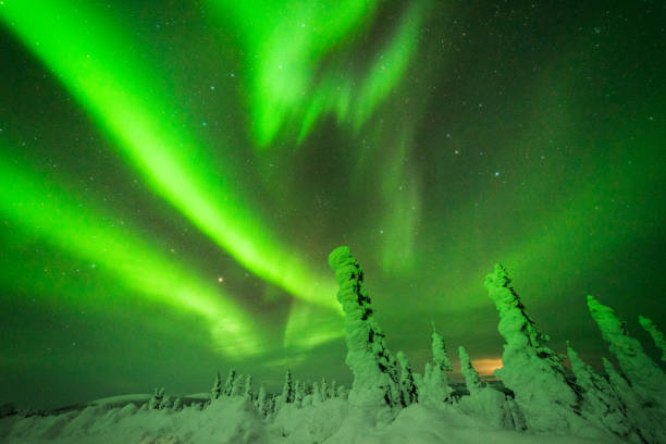 istock Northern Lights in Alaska 942839456