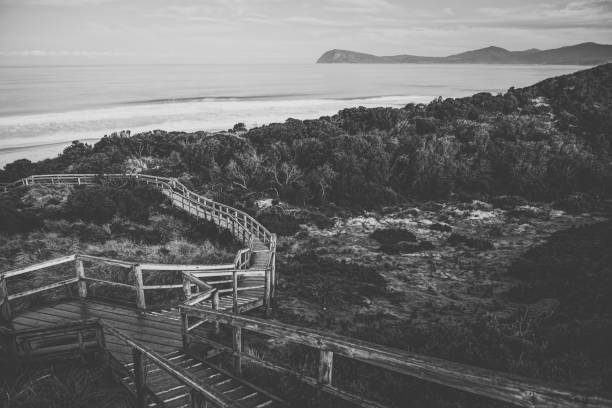 View of Bruny Island beach in Tasmania, Australia during the day.