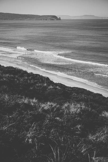 istock View of Bruny Island beach during the day. 942840208