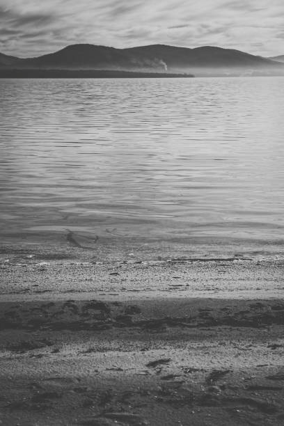 istock View of Bruny Island beach during the day. 942840436