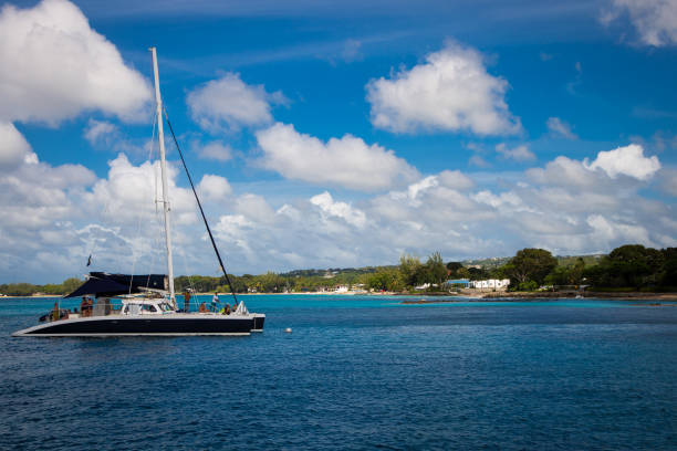 istock Catamaran in the Caribbean 942840550