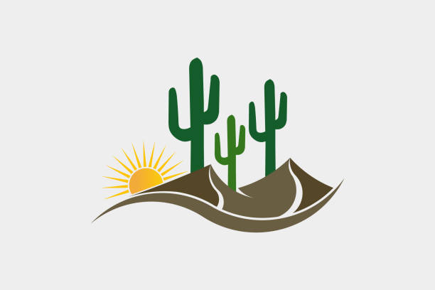 Cactus Desert Western Logo Illustration Sunny Desert scene with cactus and stone arizona cactus stock illustrations