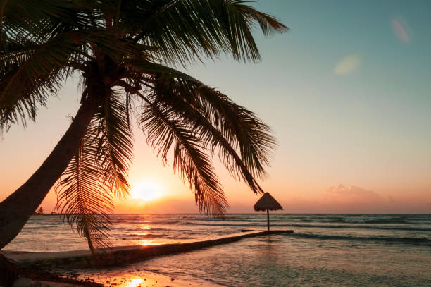 istock Sunrise over Caribbean beach, Mayan Riviera, Mexico 942857056