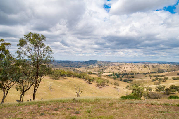istock Australian outback landscape with hills and paddocks 942858216