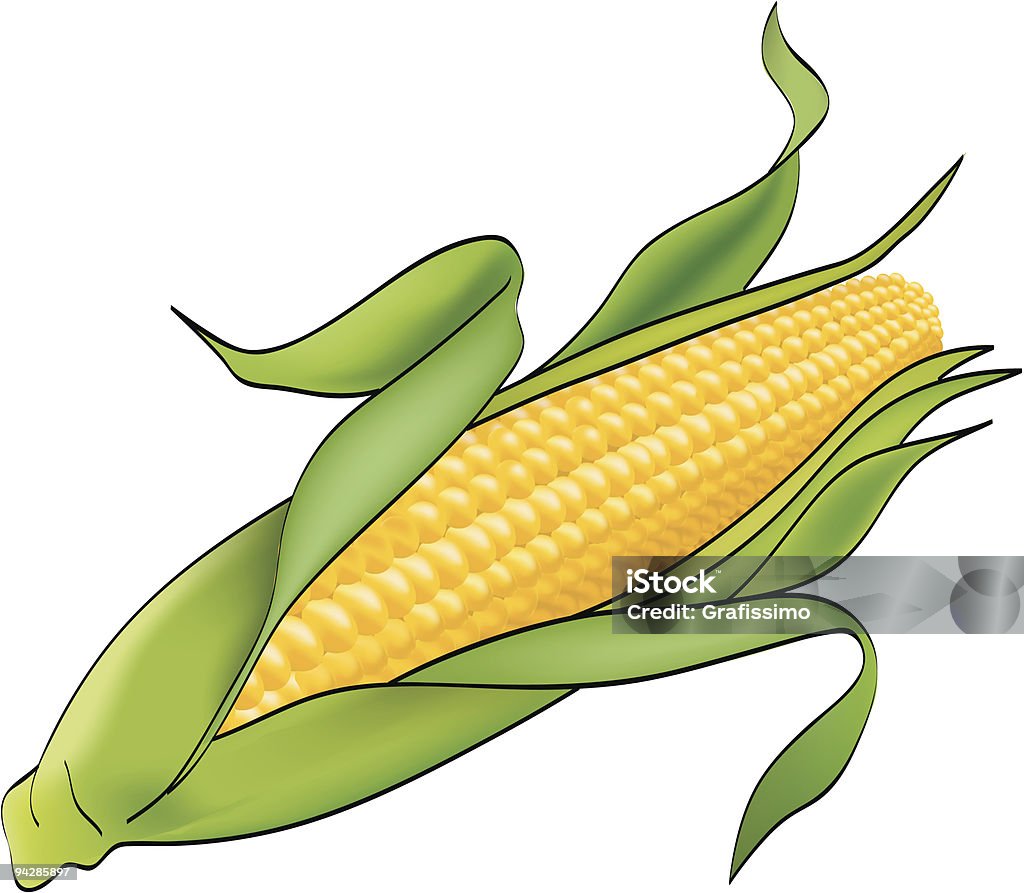 Maïs plante sur blanc - clipart vectoriel de Couleur verte libre de droits