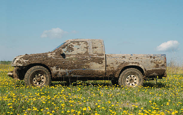 Extended cab truck covers in mud sitting in a meadow stock photo