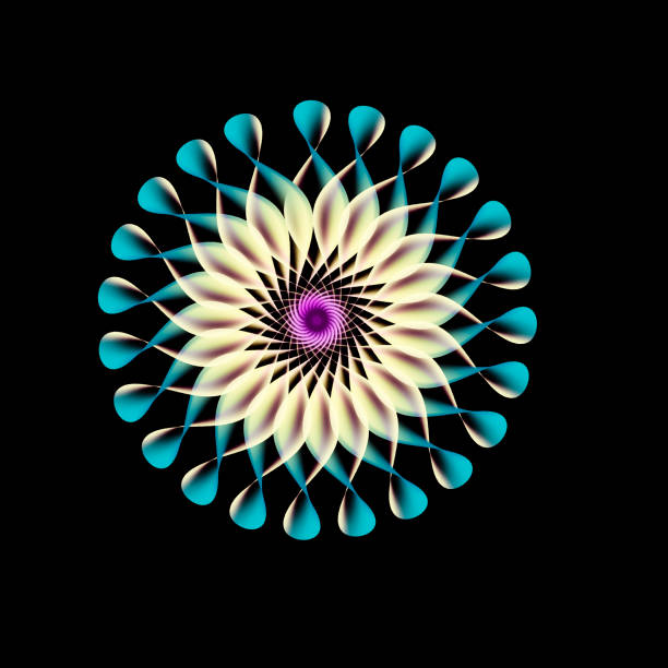 Light flowers on the black background