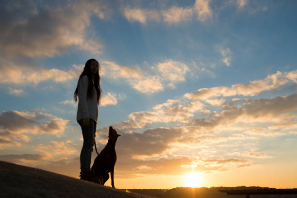istock Woman and Doberman silhouette 942873800