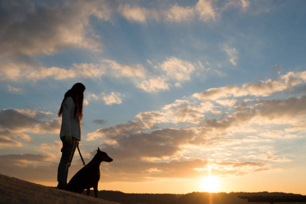 istock Woman and Doberman silhouette 942873802