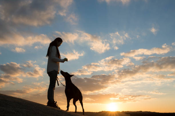 istock Woman and Doberman silhouette 942873804