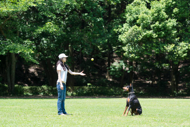 Beautiful woman to play with Doberman
