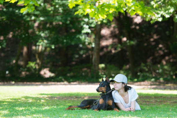 Beautiful woman to play with Doberman