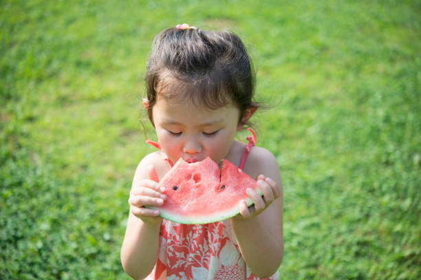 istock Little girl eating watermelon 942874428