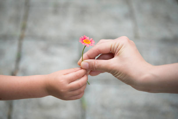 istock Mother and daughter hand over pink flower 942877516