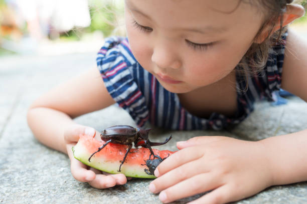 istock Little girl watching the beetle 942877670