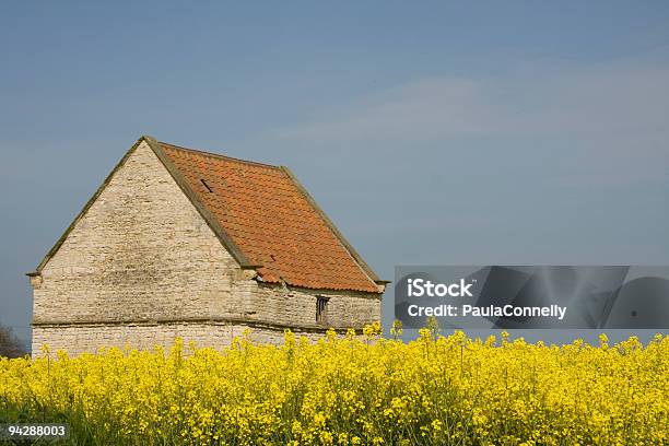 York Kamień Barn - zdjęcia stockowe i więcej obrazów Bez ludzi - Bez ludzi, Budynek rolniczy, Budynek z zewnątrz