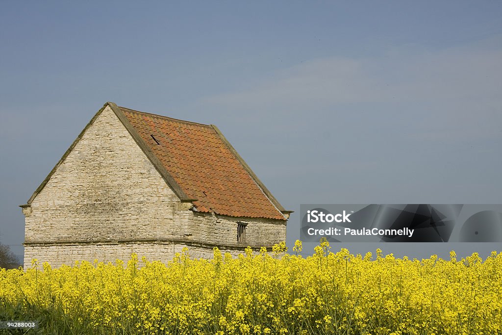 York Stone-das-Chaminés - Royalty-free Abrigo de Jardim Foto de stock