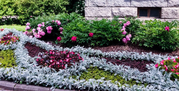 istock Flower bed near the stone house 942881468