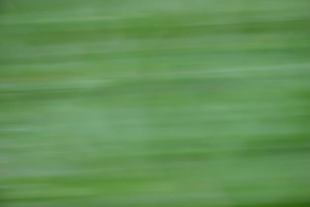istock Blur nature background as abstract wallpaper 942882096