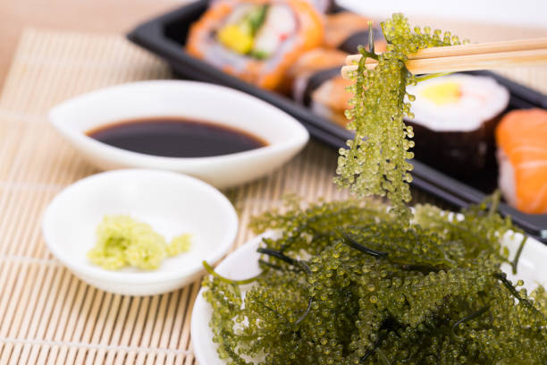 신선한 바다 포도 (caulerpa lentillifera), 해 초 및 스시, 건강 식품 - sashimi sushi salad sea 뉴스 사진 이미지