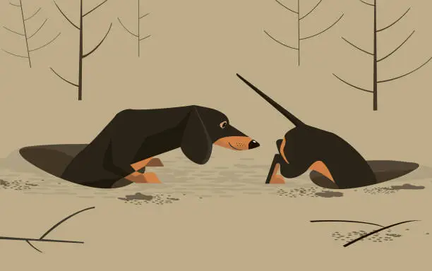 Vector illustration of Dachshund in the hole