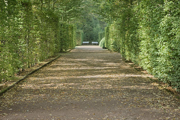 istock two benches in palace garden 94289248