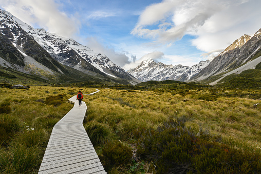 Woman backpacker walking on the wooden way to Mt Cook in New Zealand
