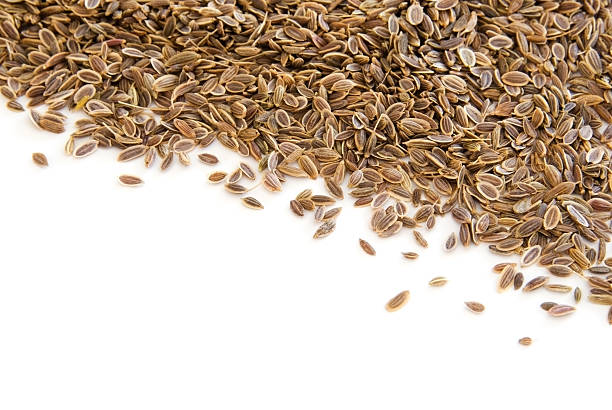 istock Border of dill seeds on white 94289592