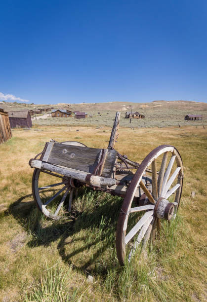 istock Abandoned horse carriage left behind in the prairie 942898040