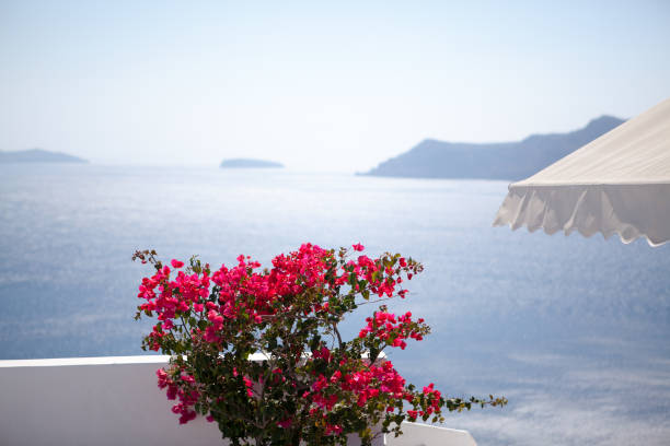 istock White architecture on Santorini island, Greece. 942898066