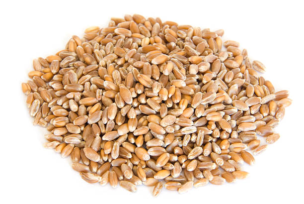 istock Pile of wheat berries on white 94289844