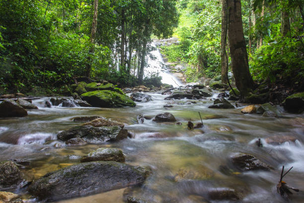 istock Small beautiful brook stream waterfall cascade in a forest The North Thailand. 942905868