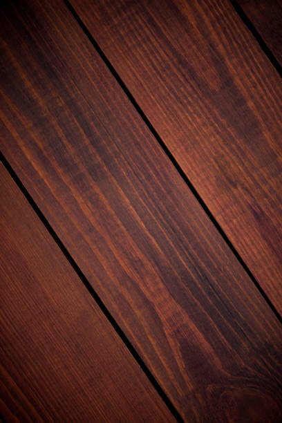 istock texture of bark wood use as natural background 942908348