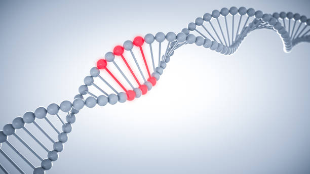 istock human dna with red glowing mutation genes scientific abstract white background with copy space 942909324