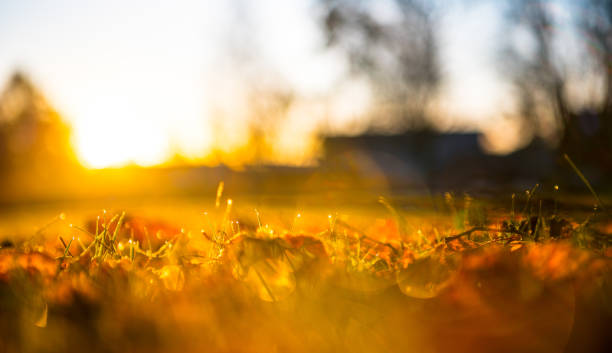 Cold fall day in the city park, sunrise