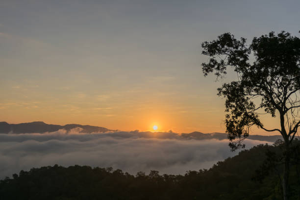 istock Mountain mist, Beautiful winter mountains landscape 942917208