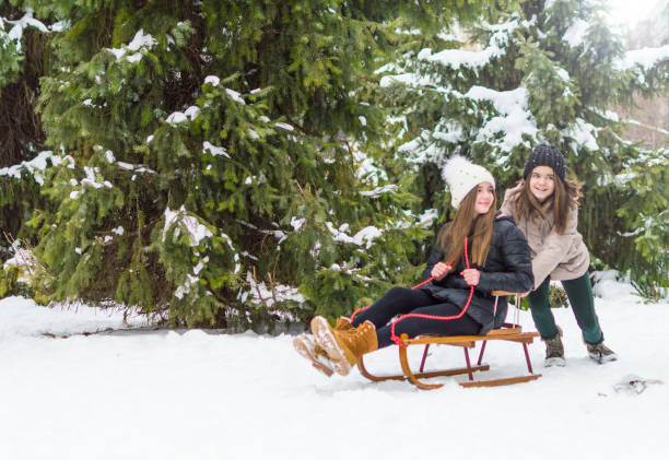 istock Sister twins having fun on snow 942930252