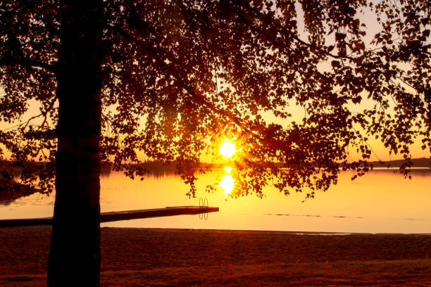 istock Summer midnight sunset from Kuhmo, Finland. 942930624