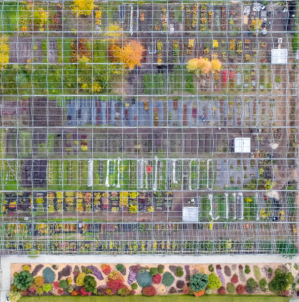 vista de bird's-eyes. fileiras de plantas em estufas, pintadas com cores de outono - flowerbed aerial - fotografias e filmes do acervo