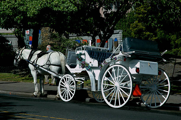 istock Horse and carriage 94294445