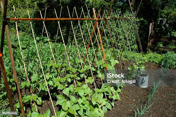 Organiczne Ogrodnictwo - zdjęcia stockowe i więcej obrazów Słup - Słup, Treliaż, Ogrodnictwo - Zajęcie rekreacyjne