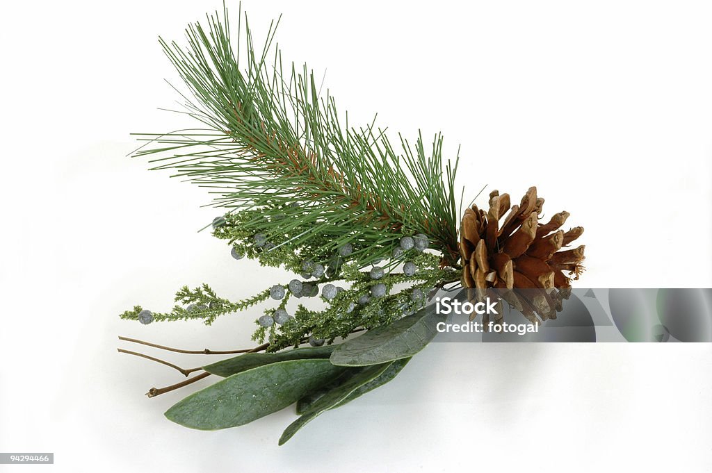 Greenery and pine cone Christmas decoration  Berry Stock Photo