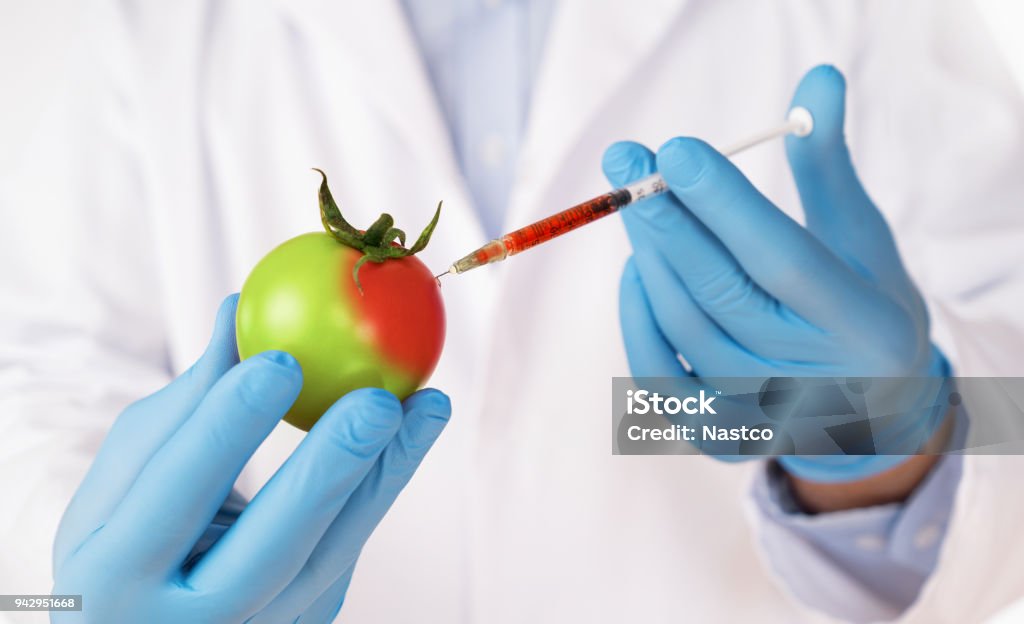 Food genetic modification concept Food genetic modification concept. Close up of sciencist injecting syringe into tomato Genetic Modification Stock Photo