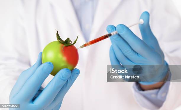Food Genetic Modification Concept Stock Photo - Download Image Now - Genetic Modification, Food, Chemical