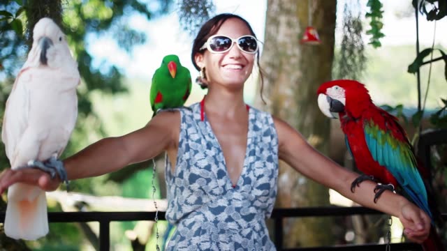 Happy woman wearing sunglasses holds parrots blue-gold Macaw parrot white parrot macaw in Koh Samui Paradise park. 1920x1080
