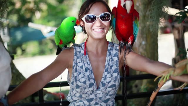 Happy woman wearing sunglasses holds blue-gold Macaw parrot white parrot macaw and iguana in Koh Samui Paradise park. 1920x1080